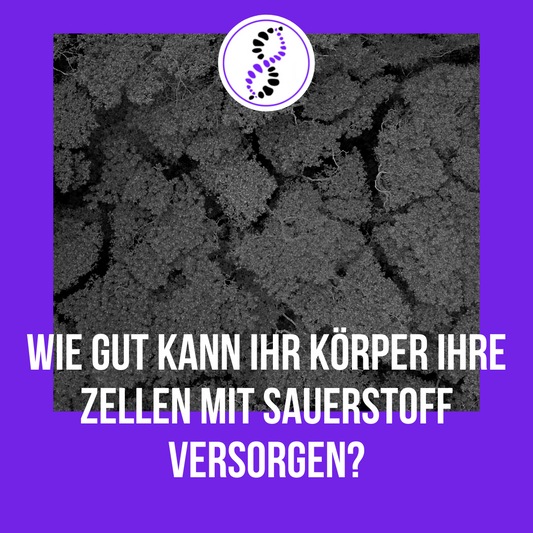 Versorgung mit Sauerstoff | genetic balance - DNAAnalyse, Analyse, DNA Analyse, DNA Analytics, Telomere, DNA, DNS, Gentest, Gene, Gesundheit, Health, Prävention, Praevention, Prevention, Ageing, Aging, Alter, Altern