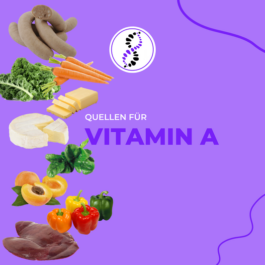 Quellen für Vitamin A | genetic balance - DNATest, DNA Test, GentestDNAAnalyse, Analyse, DNA Analyse, DNA Analytics, Telomere, DNA, DNS, Gentest, Gene, Gesundheit, Health, Prävention, Praevention, Prevention, Ageing, Aging, Alter, Altern